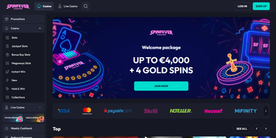Spin Fever 网站预览