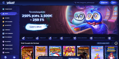 Aperçu du site Spinight