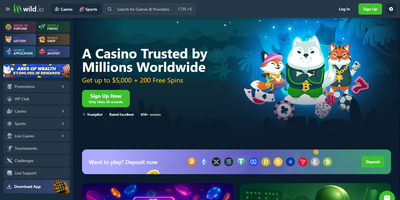 Prévia do site de Wild.io