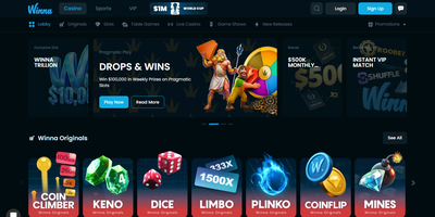 Anteprima del sito Winna